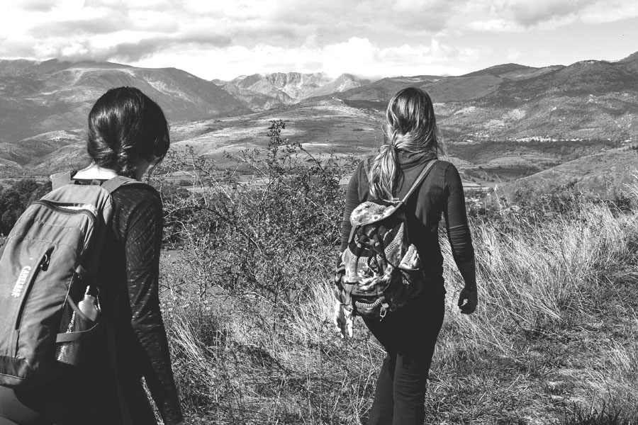 &Aacute;rea de actividades